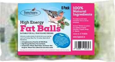 6 Pack Fatballs