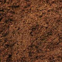 Coir
