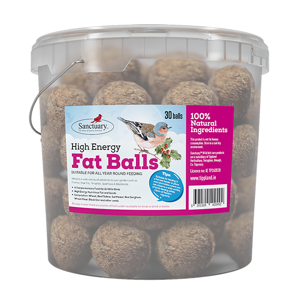 Bucket of 30 fat balls