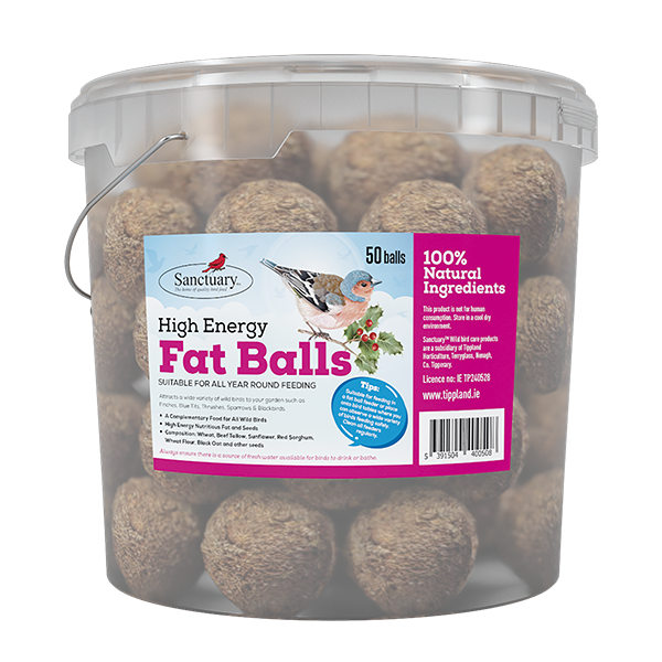 Bucket of 50 fatballs